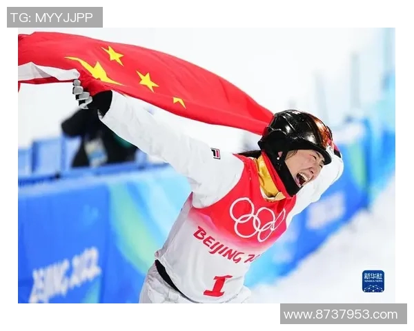 南京羽毛球队奋勇拼搏的杯赛之路与荣耀时刻回顾 南京羽毛球队奋勇拼搏的杯赛之路与荣耀时刻回顾