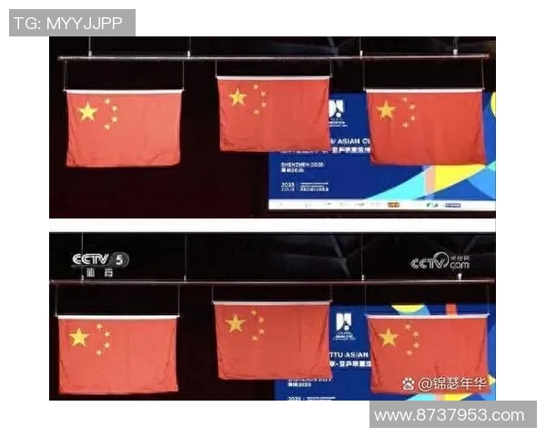 南京羽毛球队在洲际杯积分榜上以95分稳居第一名展现强劲实力