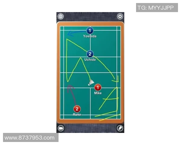 南京羽毛球队杯赛战术分析与表现评估探讨