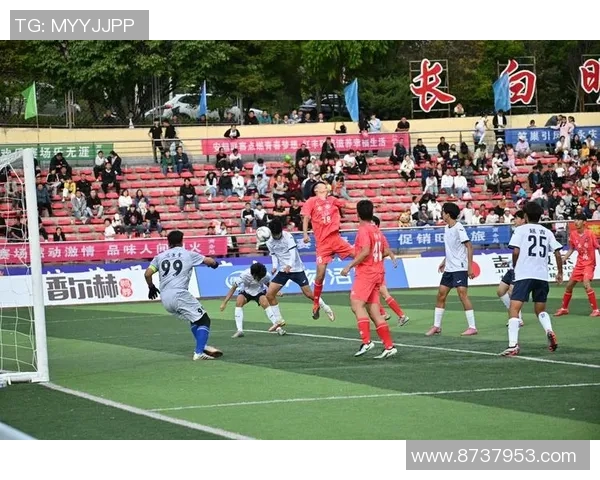 南京足球队以59分领跑总决赛积分榜展现强劲实力