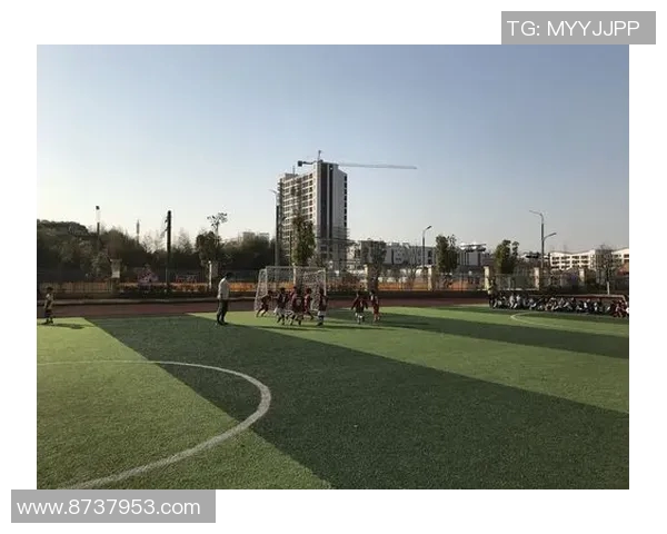 博洋足球明星名单揭晓球迷期待新赛季精彩表现与荣耀时刻