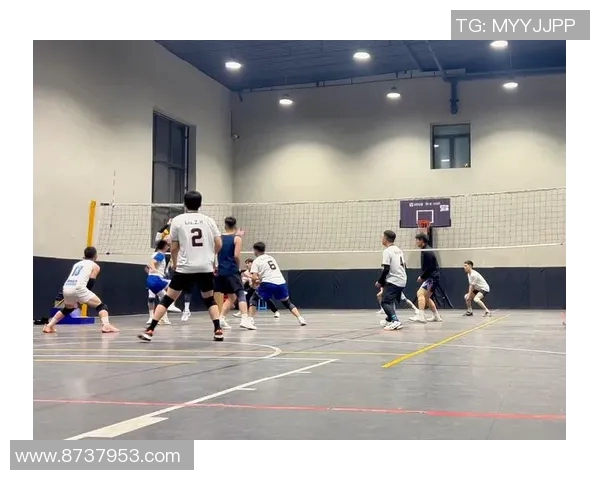 成都排球队的力量分析与发展潜力探讨