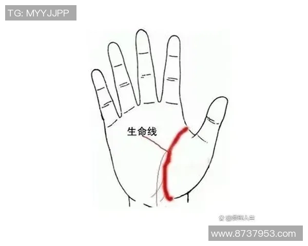 探索上海足球明星的手相秘密与人生轨迹的独特联系 探索上海足球明星的手相秘密与人生轨迹的独特联系