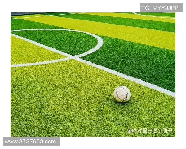 爱猫的足球明星如何在绿茵场上与爱宠共享快乐时光