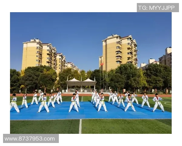 南京乒乓球队比赛经验分享与成长之路的深度探讨